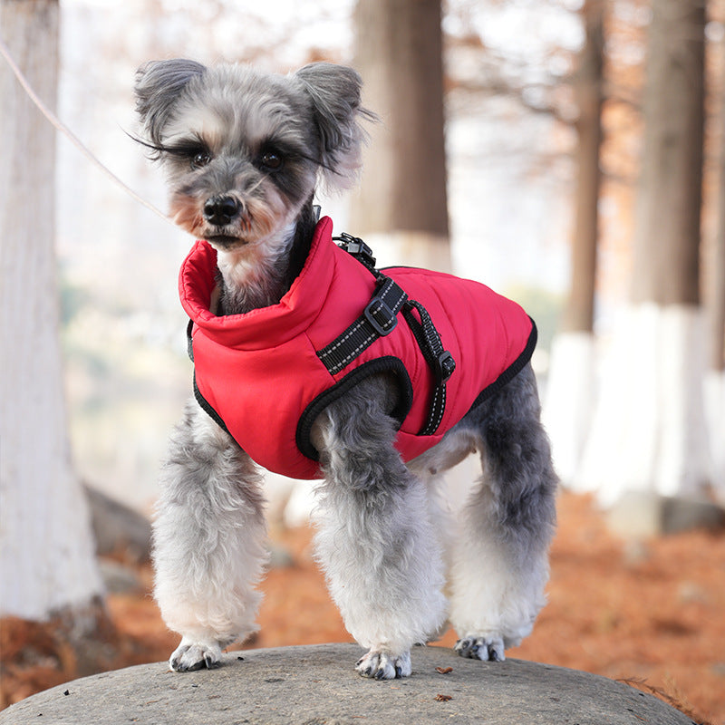 PSM New Pet Clothes Dog Jacket Cotton Clothing Small Dog Two Feet Traction Vest Chest Back Winter Warm Clothing